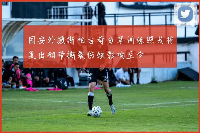 国安外援斯帕吉奇分享训练照或将复出韧带撕裂伤缺影响至今