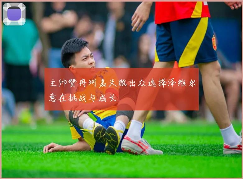 主帅赞冉珂嘉天赋出众选择泽维尔意在挑战与成长