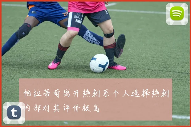 帕拉蒂奇离开热刺系个人选择热刺内部对其评价极高