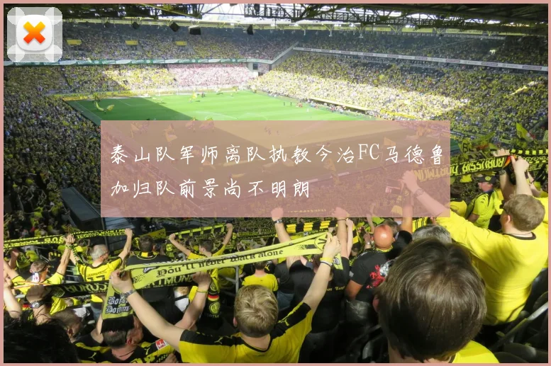 泰山队军师离队执教今治FC马德鲁加归队前景尚不明朗